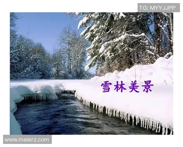 双层生日蛋糕与篮球的奇妙结合让庆祝更加精彩纷呈